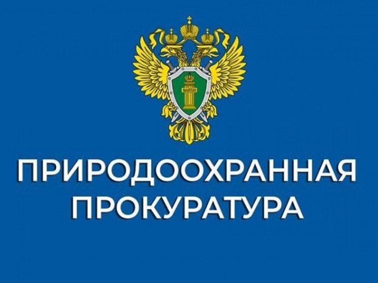 Природоохранная прокуратура разъясняет. Природоохранная прокуратура разъясняет.